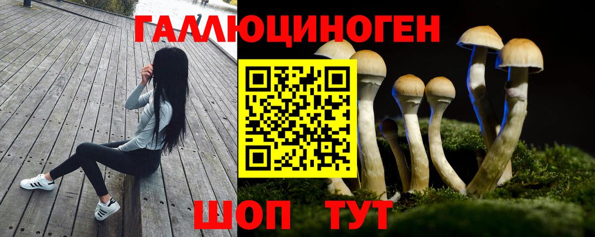 Коряжма  Псилоцибиновые грибы Magic Shrooms  как найти   Вход с VPN 