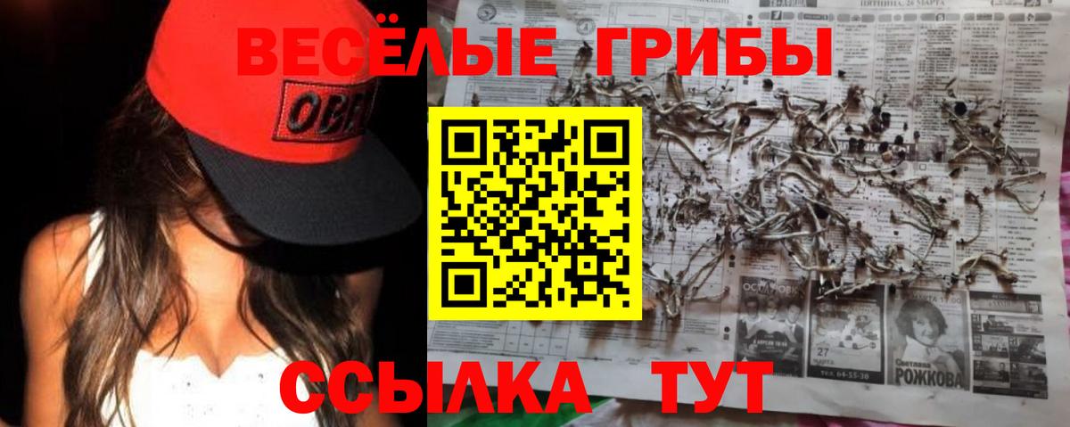 Псилоцибиновые грибы GOLDEN TEACHER Коряжма